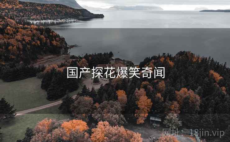 国产探花爆笑奇闻
