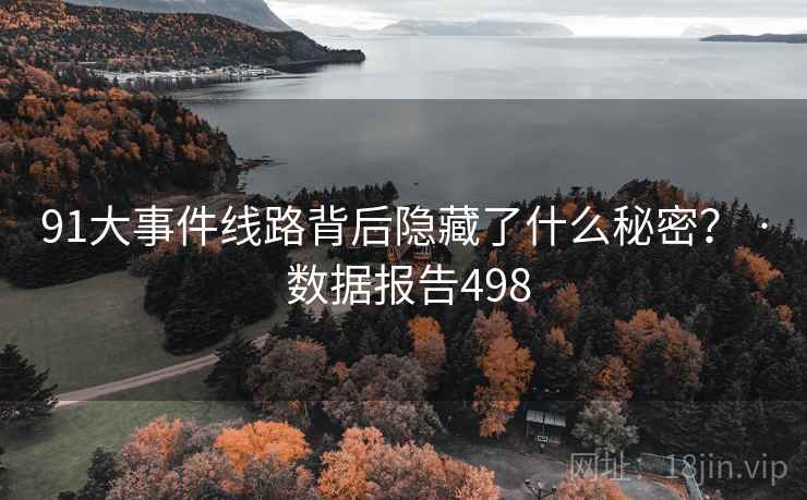 91大事件线路背后隐藏了什么秘密？ · 数据报告498