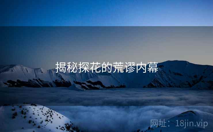 揭秘探花的荒谬内幕