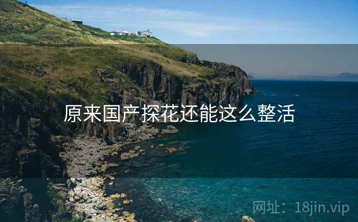 原来国产探花还能这么整活