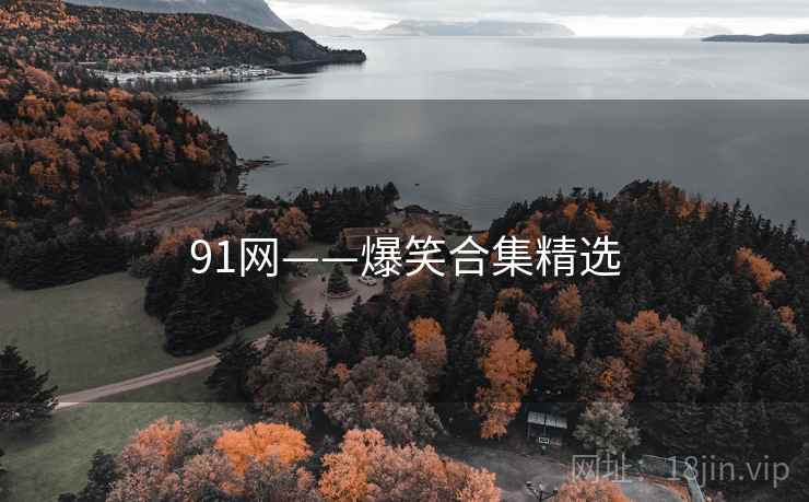 91网——爆笑合集精选