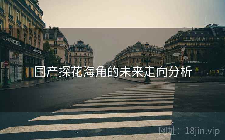 国产探花海角的未来走向分析