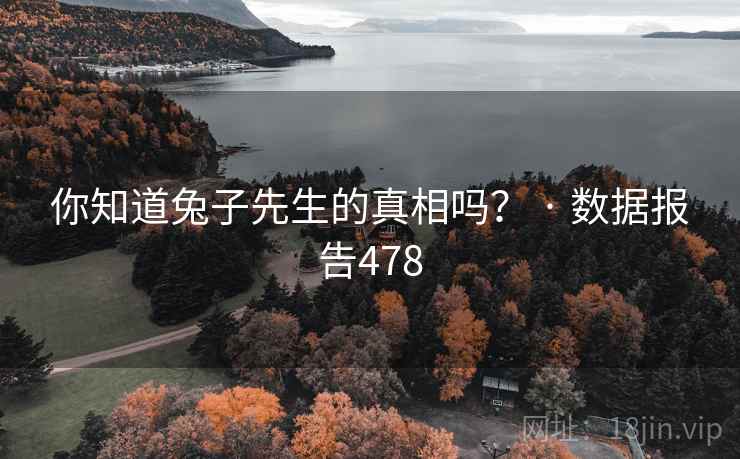 你知道兔子先生的真相吗？ · 数据报告478