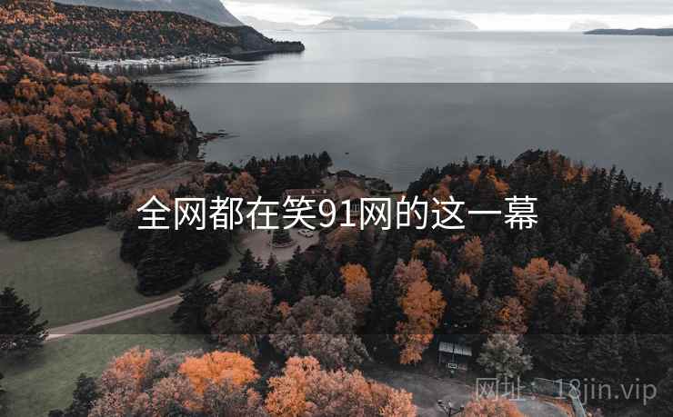 全网都在笑91网的这一幕