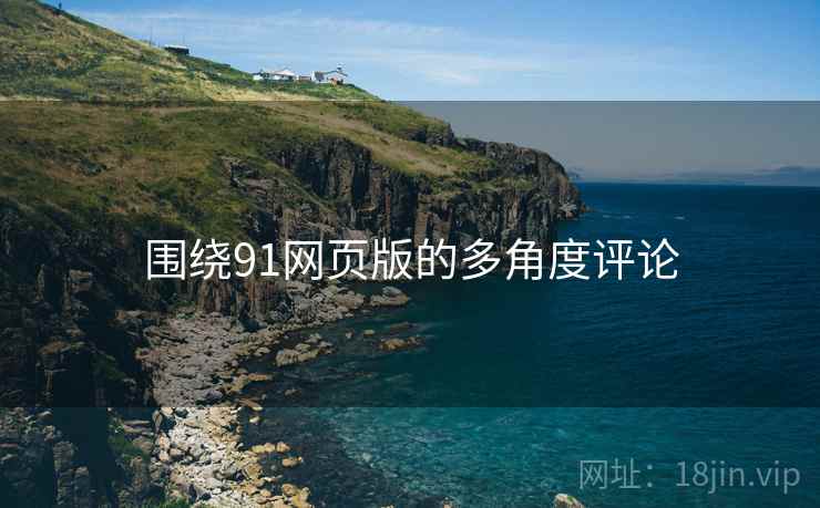 围绕91网页版的多角度评论