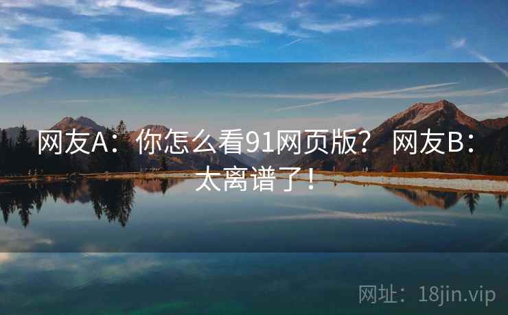 网友A：你怎么看91网页版？ 网友B：太离谱了！