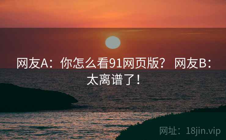 网友A：你怎么看91网页版？ 网友B：太离谱了！