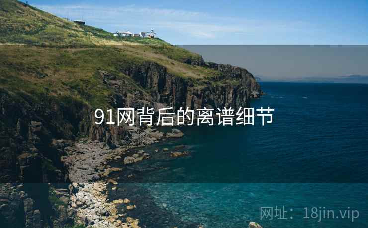 91网背后的离谱细节