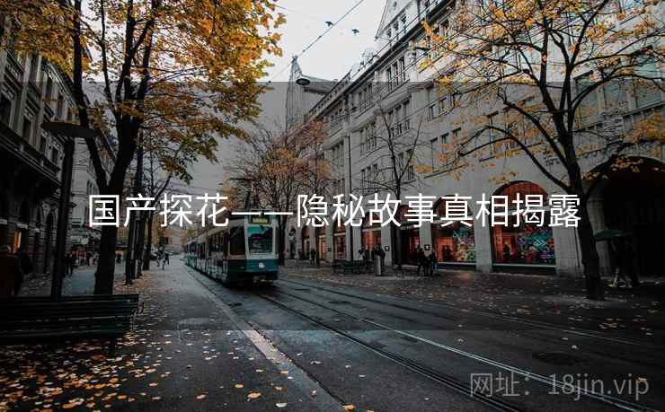 国产探花——隐秘故事真相揭露