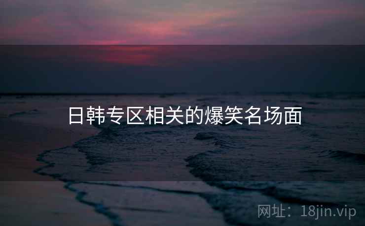 日韩专区相关的爆笑名场面