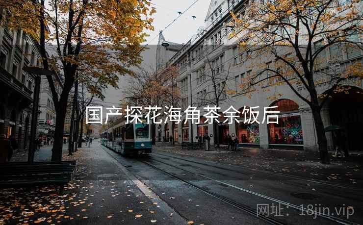 国产探花海角茶余饭后