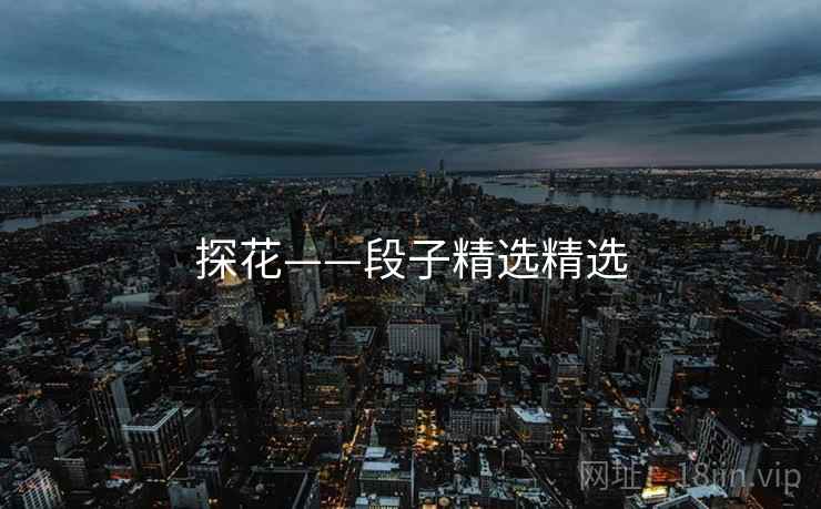 探花——段子精选精选 探花——段子精选精选
