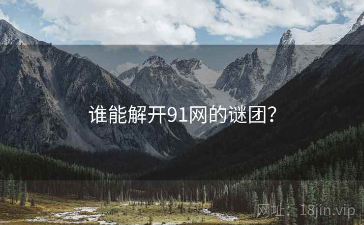 谁能解开91网的谜团？