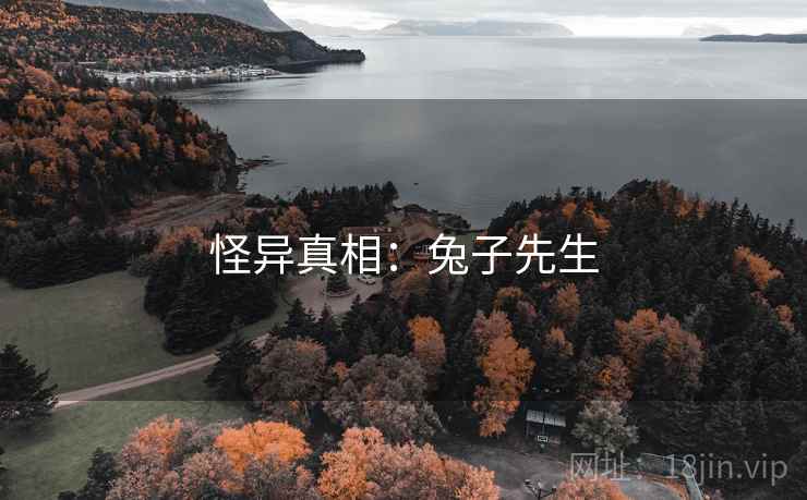 怪异真相:兔子先生