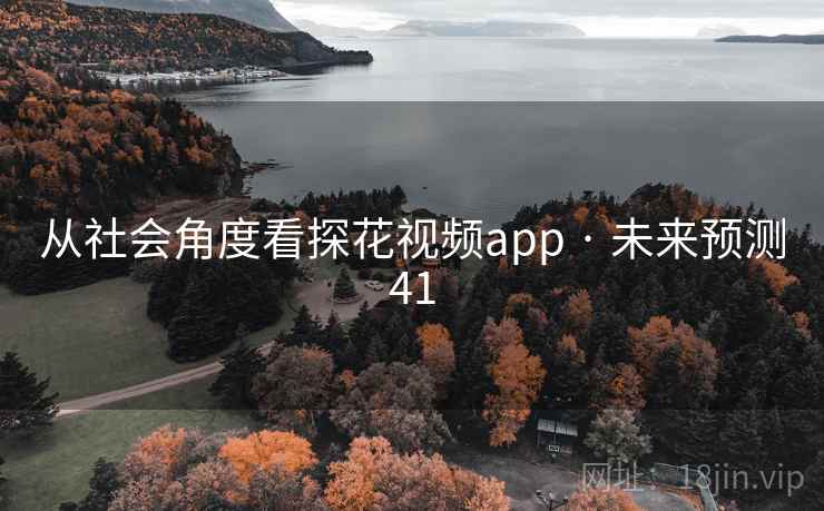 从社会角度看探花视频app · 未来预测41