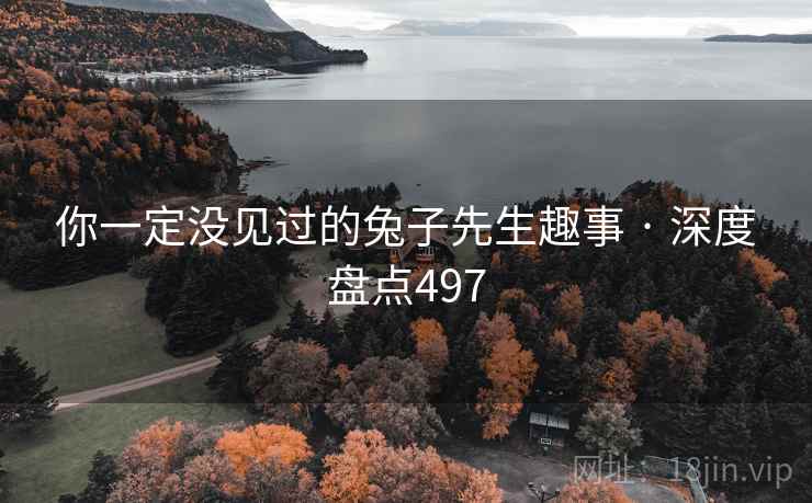 你一定没见过的兔子先生趣事 · 深度盘点497