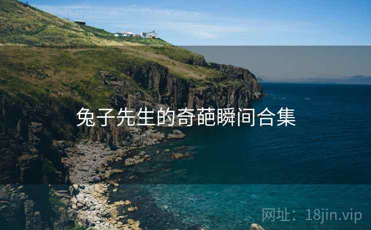 兔子先生的奇葩瞬间合集 兔子先生的奇葩瞬间合集